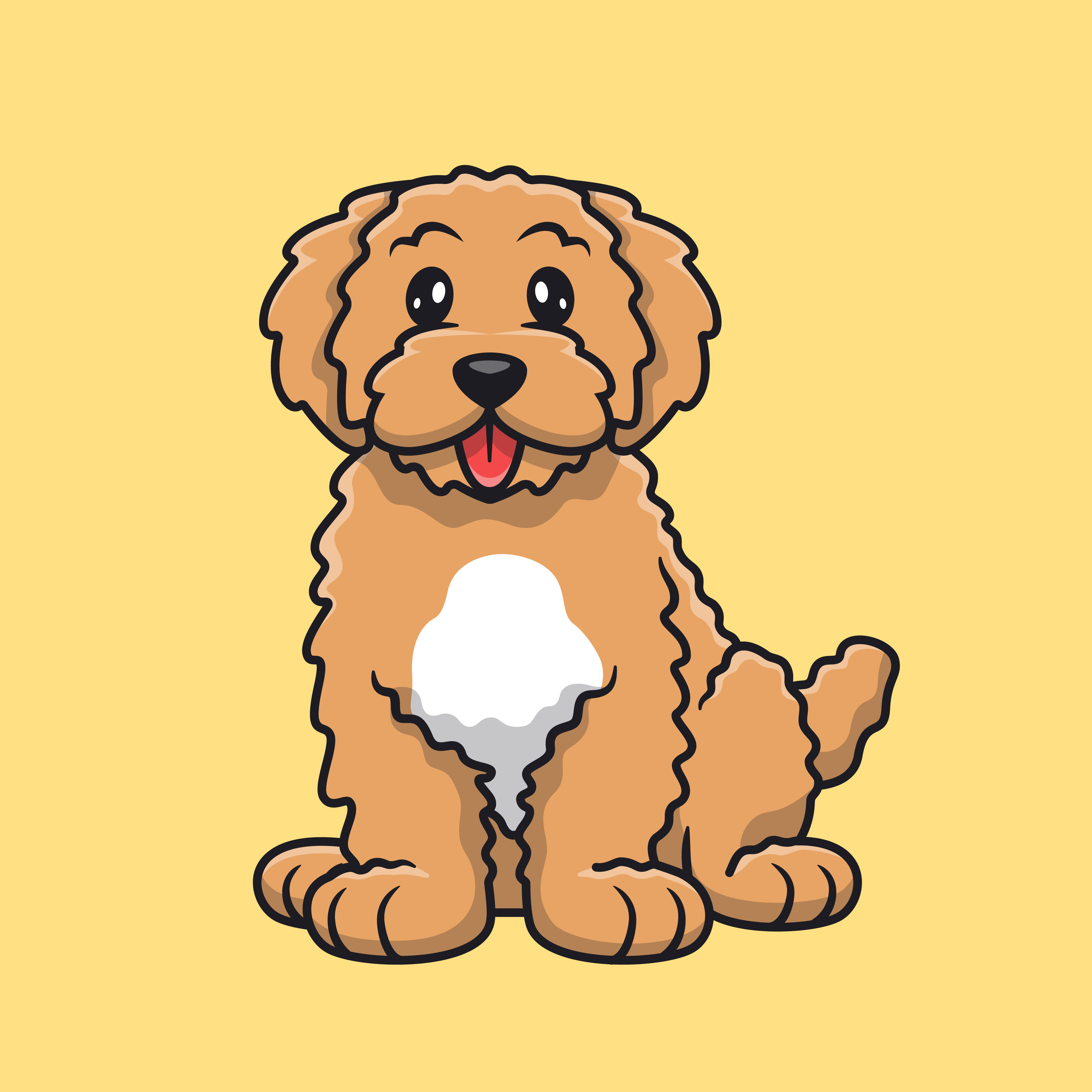 Test Jw